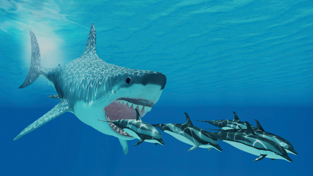 an illustration of an open-mouthed shark chasing a fleet of dolphins