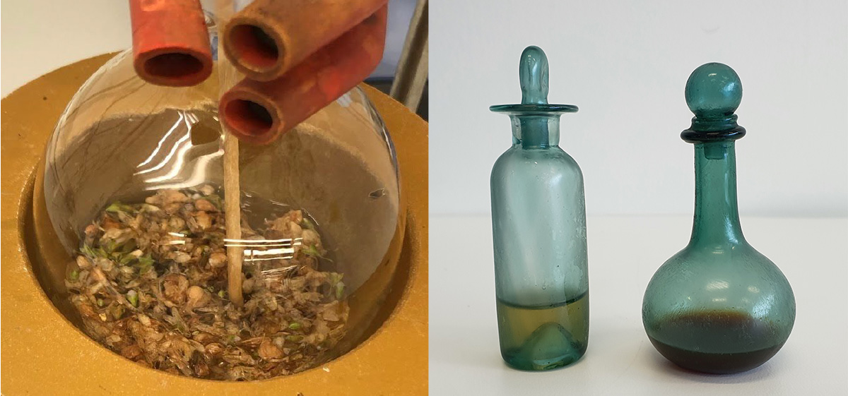Left photo: a glass vessel with rosemary flowers boiling in white wine. Right photo: Two stopped bottles against a white backdrop. The left bottle contains the resulting light-colored liquid from the rosemary flowers and wine. The right contains an extract from a myrrh concoction and is darker in color.