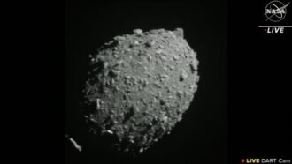 The asteroid moonlet Dimorphos, taken by DART just seconds before the spacecraft smashed into it.