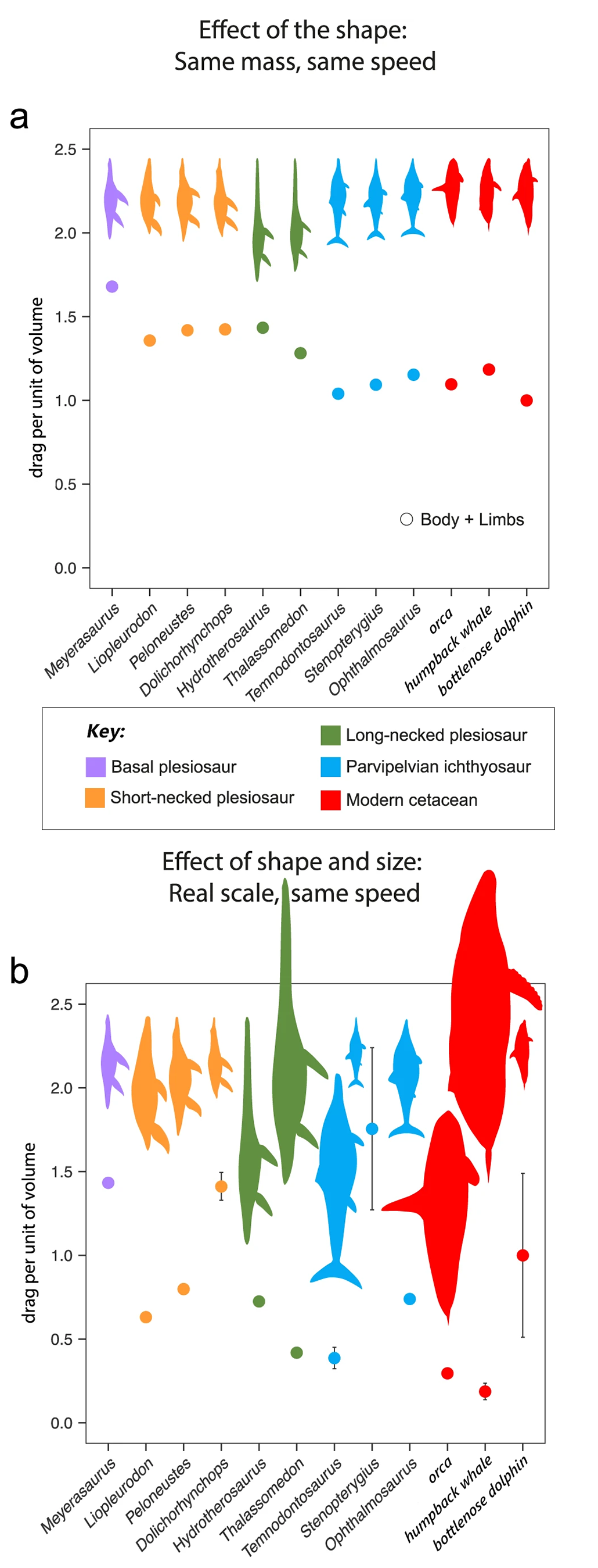 two graphs showing drag forces on different aquatic animal body types