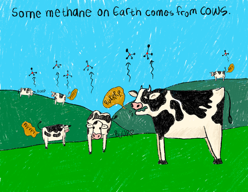 a hand drawn illustration showing cows burping and farting on grassy hills. Methane molecules are rising up into a blue sky all around them. Text on the image reads "Some methane on Earth comes from cows."