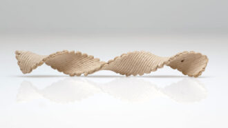 a helix created from a strip of printed wood