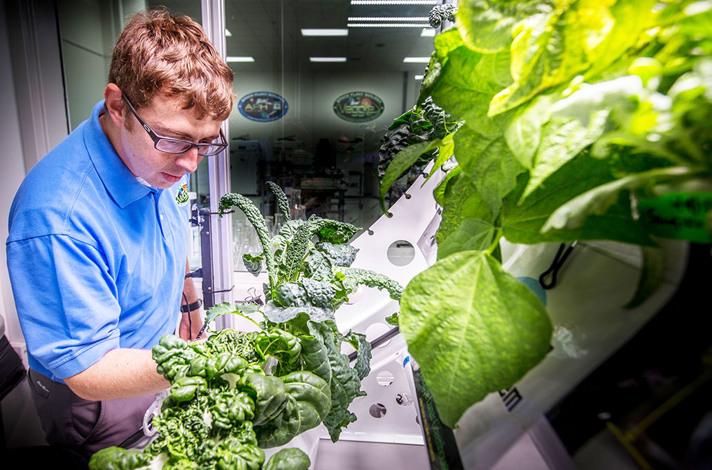 a young white man with reddish hair and glasses examines rows of greens growing in a NASA lab