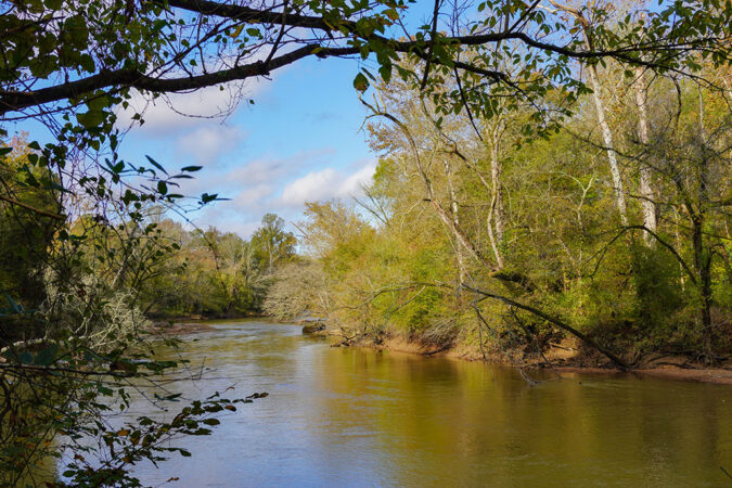 a photo of the Neuse River bending away from the viewer into the distance. The water is calm and wide, trees cover each shore, and the sky is blue with a few clouds.