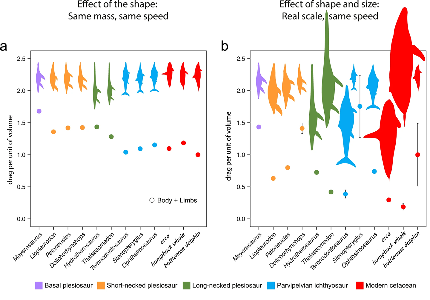 two graphs showing drag forces on different aquatic animal body types