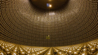 a huge cylinder is filled with glowing golden bulbs on the floor, walls and ceiling