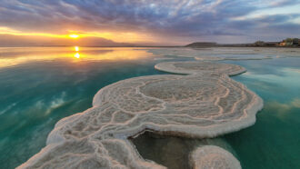 circular patches of salt crystal poke out above the blue green water of the Dead Sea at sunset
