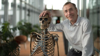 A headshot of Nobel Prize winner Svante Pääbo sitting next to and resting his hand on a skeleton