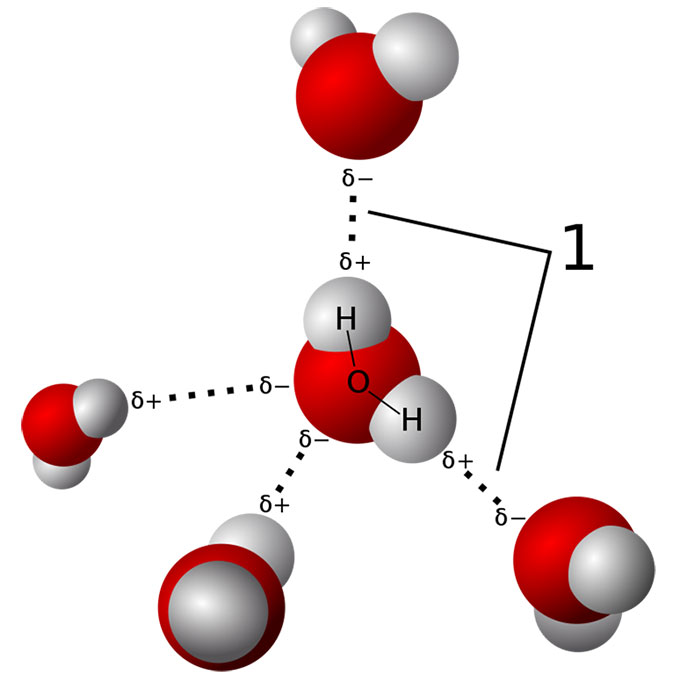 a 3D ball and stick model showing how water molecules form a 3D network