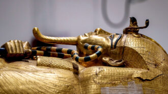 profile photo of the top section of a gold sarcophagus belonging to King Tutankhamun