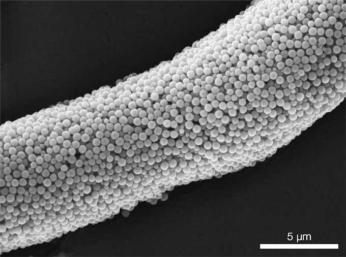 a micrtoscopic image of many tiny balls clumped together to form a bristle