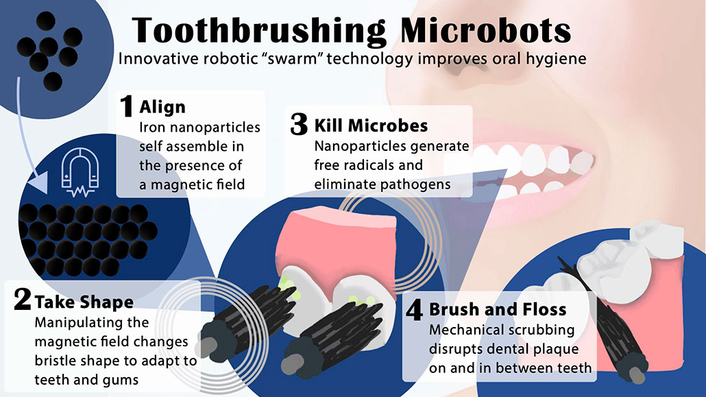 an infographic showing how a swarm of iron nanoparticles are controlled by a magnetic field to form bristles and scrub teeth