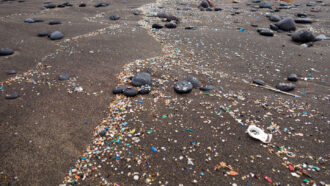 multi-colored pieces of plastic trash are strewn across the sand of a beach