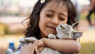 A photo of a young girl with tan skin and brown hair snuggling a creme tabby cat close to her face. The cat and the girl both look very happy.