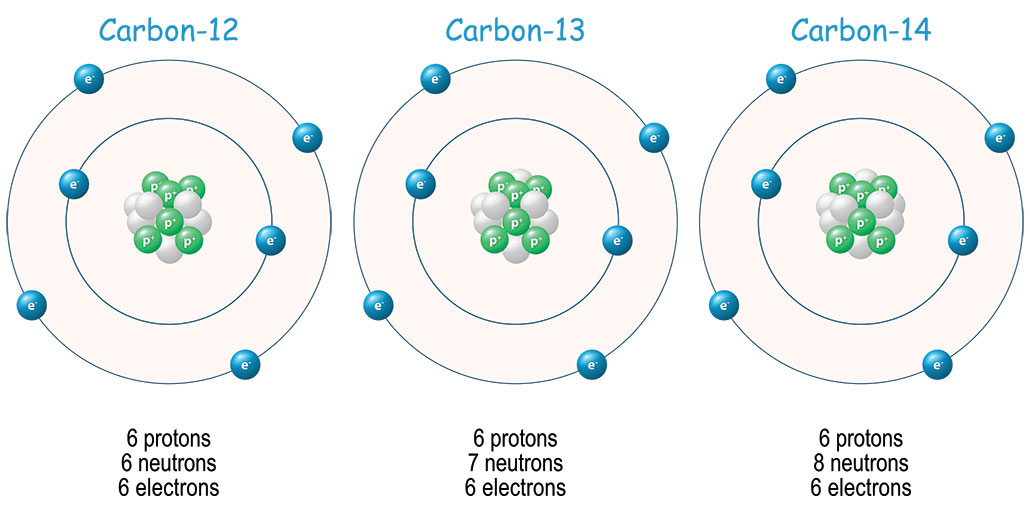a diagram showing the isotopes of Carbon-12, Carbon-13 and Carbon-14