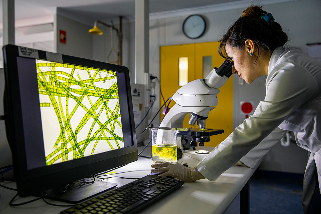 a photo of a woman examining plant cells under a microscope