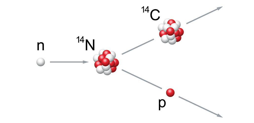 an illustration showing how a carbon-14 isotope can form