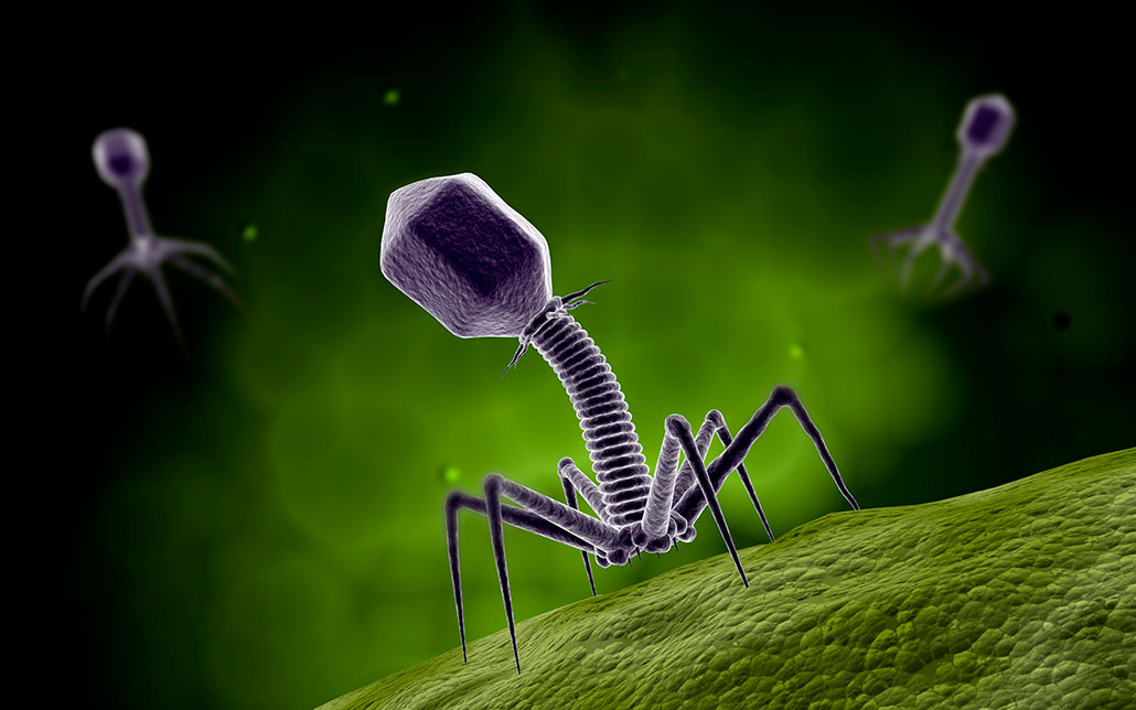 an ullustration of a bacteriophage attacking a cell membrane  Microplastic pollution aids viruses and prolongs their infectivity 1030 microplastics aid viruses bacteriophage