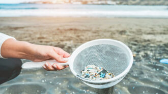 a photo of a beach, in the front o the picture is a hand holding a sieve filled with small bits of plastic found on the beach