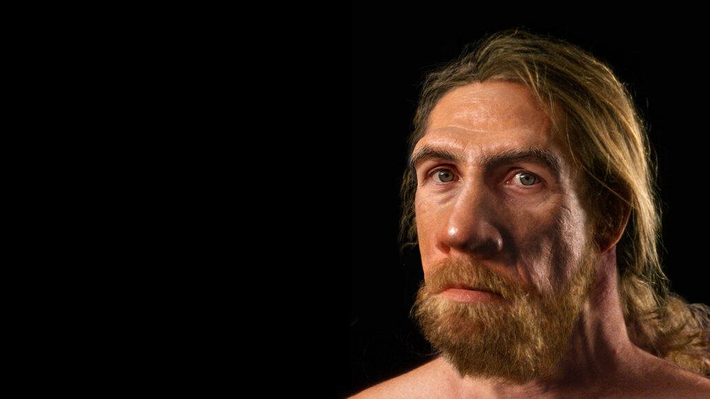 a reconstruction of what a Neandertal may have looked like, more human than many previous interpretations. Picture shows a bearded male with blond hair, blue eyes, a large wide nose and a heavy brow.