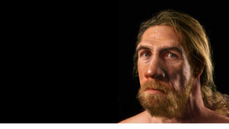 a reconstruction of what a Neandertal may have looked like, more human than many previous interpretations. Picture shows a bearded male with blond hair, hazel eyes, a large wide nose and a heavy brow.