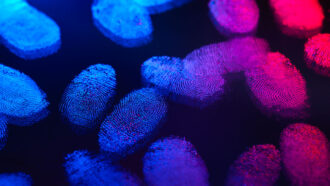 a smattering of fingerprints on a surface are illuminated in blue and pink light