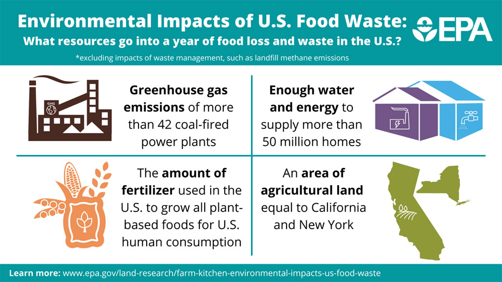Environmental Impacts of U.S. Food Waste: What resources go into a year of food loss and waste in the U.S.? *excluding impacts of waste management, such as landfill methane emissions. Impacts include: greenhouse gas emissions of more than 42 coal-fired power plants; enough water and energy to supply more than 50 million homes; the amount of fertilizer used in the U.S. to grow all plant-based foods for U.S. human consumption; and an area of agricultural land equal to California and New York. 