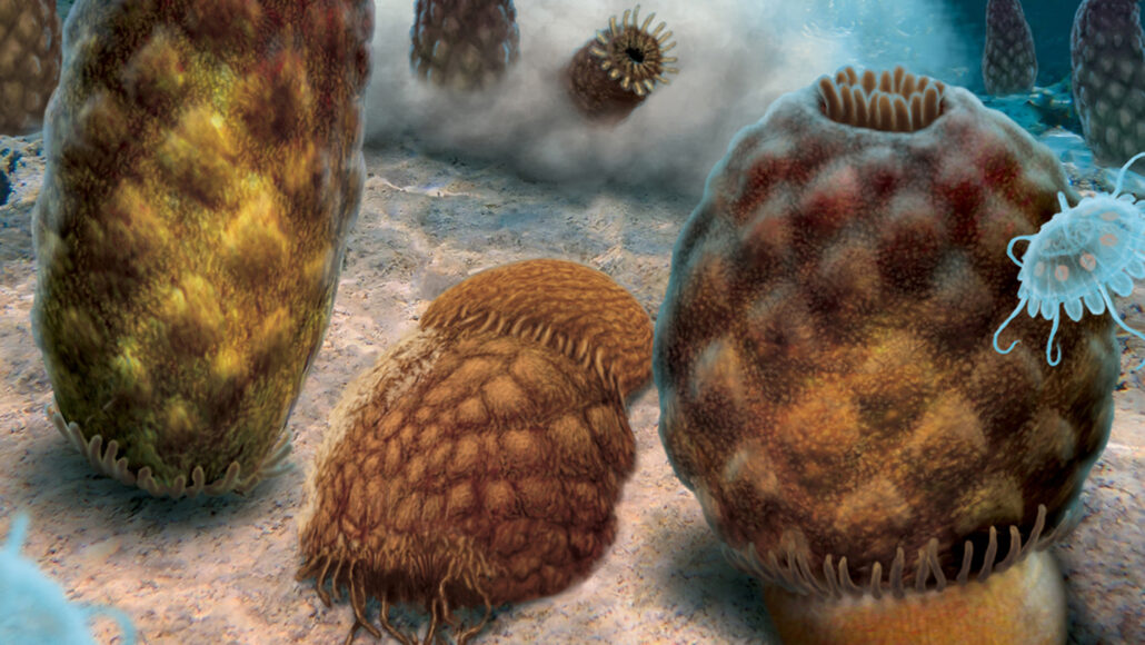 An illustration of several Essexella sitting on the ocean floor.