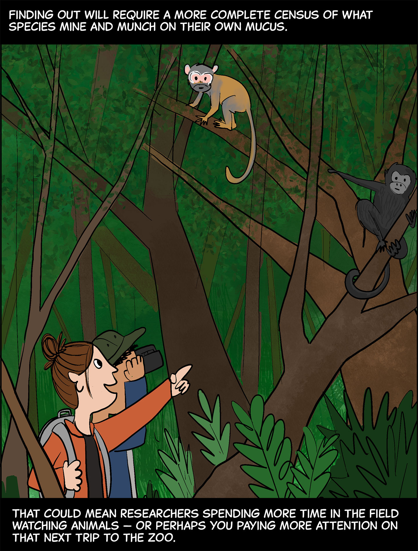 Panel 8. Text (above image): Finding out will require a more complete census of what species mine and munch on their own mucus. Image: A man and a woman stand in a forest. The man is looking at a monkey in a tree with binoculars, while the woman points at it and smiles. Another monkey sits higher up in the tree. Text (below image): That could mean researchers spending more time in the field watching animals—or perhaps you paying more attention on that next trip to the zoo. 
