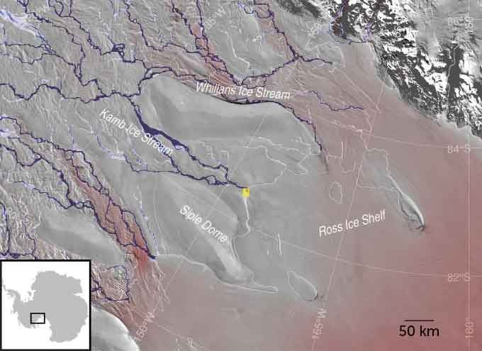 An enlarged map of Antarctica showing where the Kamb Ice Stream is located on the coast of West Antarctica. The map shows the Kamb Ice Stream on the left third of the map with a yellow square at the tip of the ice stream representing the newly discovered cavern. The yellow square is near Siple Dome and the Ross Ice Shelf is to the east while the Whillans Ice Stream is to the north. A small map of the entirety of Antarctica is in the bottom left corner with a black box around the area shown in the enlarged map.