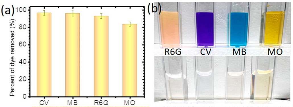 a bar chart on the left and a photo of gel purifying different dyes from water