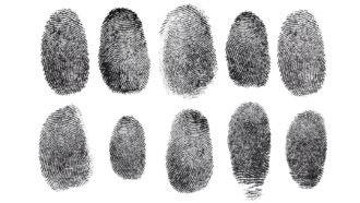 two rows of five black fingerprints on a white background