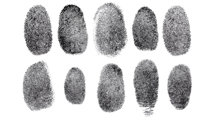 two rows of five black fingerprints on a white background