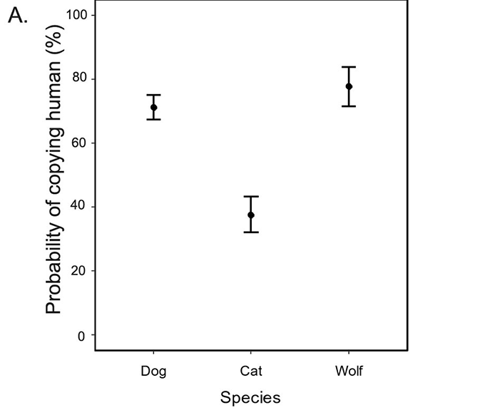 a graph showing the probability that dogs, cats, and wolves would copy humans