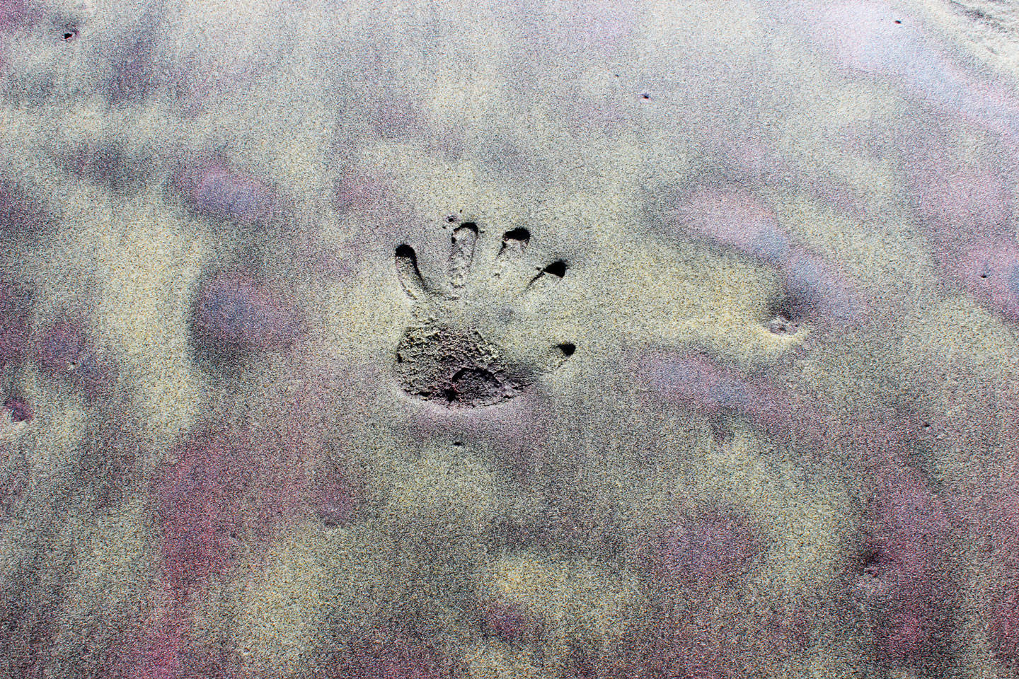 the outline of a palm is printed into wet purplish-green sand