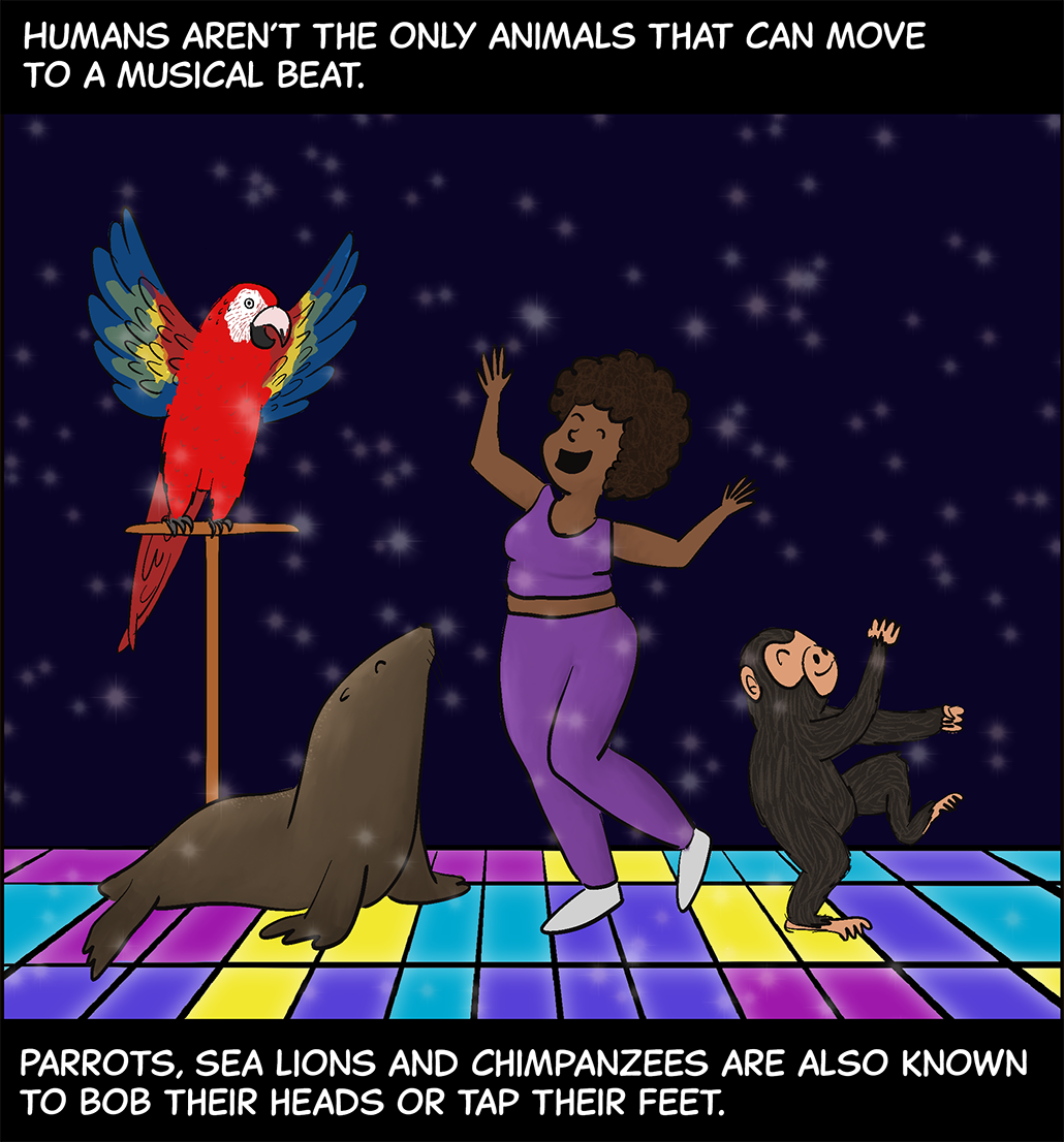 Text (above image): Humans aren’t the only animals that can move to a musical beat. Image: A Black girl wearing a purple tank top and purple pants dances on the dance floor from the first panel with a parrot, a sea lion and a chimpanzee. Text (below image): Parrots, sea lions and chimpanzees are also known to bob their heads or tap their feet.
