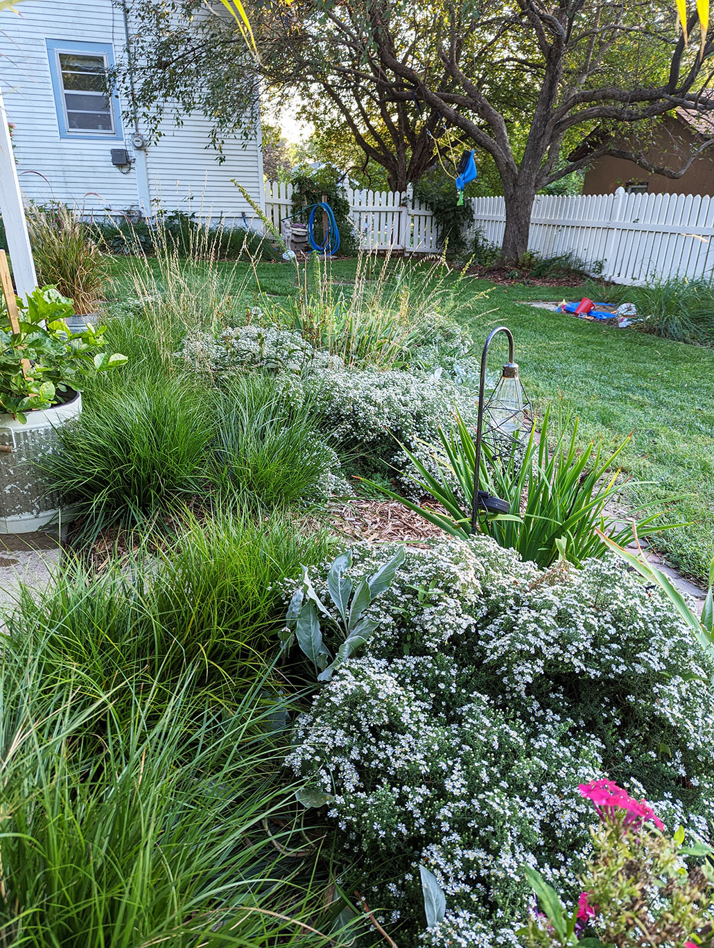 An example of native plant landscaping, creating a visually appealing garden border next to a house