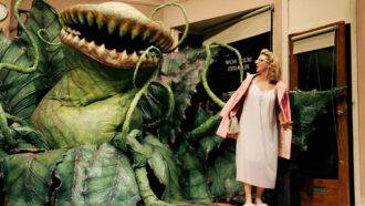 Audrey stands next to the giant carnivorous plant named after her. This photo was taken during a staging of Little Shop of Horrors in 2009.