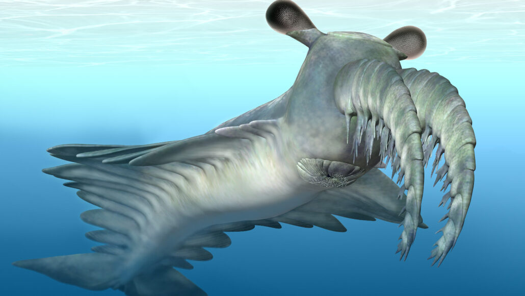 Sea creatures' fishy scent protects them from deep-sea high pressures