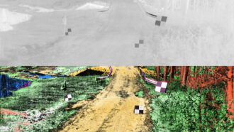Conventional thermal vision depicts this nighttime scene of a forest road in ghostly grays (top). A new AI-aided technology takes thermal data and creates a sharper image (bottom). The system adds color based on the objects detected, shading water blue, for example.