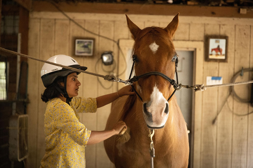 a photo of Eakta Jain brushing a brown horse in a stable