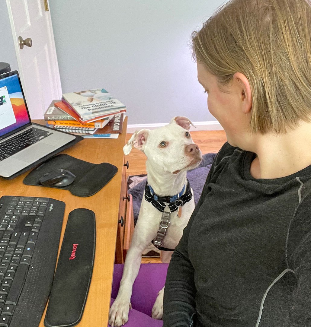 A cute white dog has his paw on his owner's legs. He is looking very attentively at her and clearly wants something.