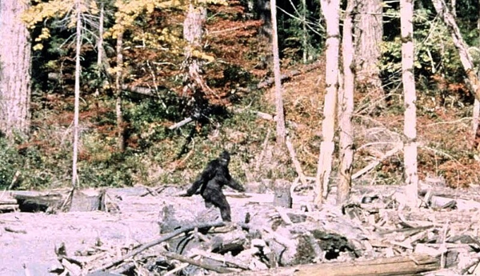 A photo from 1967 supposedly showing Bigfoot.