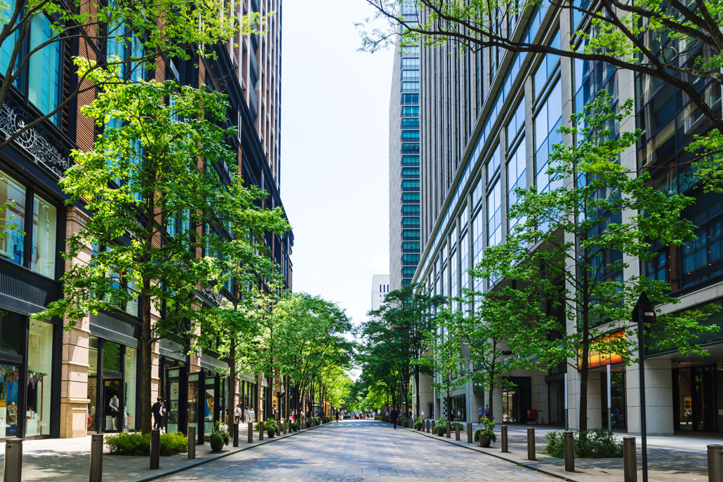 an empty street with tall buildings on each side. Trees are planted on each side of the street.
