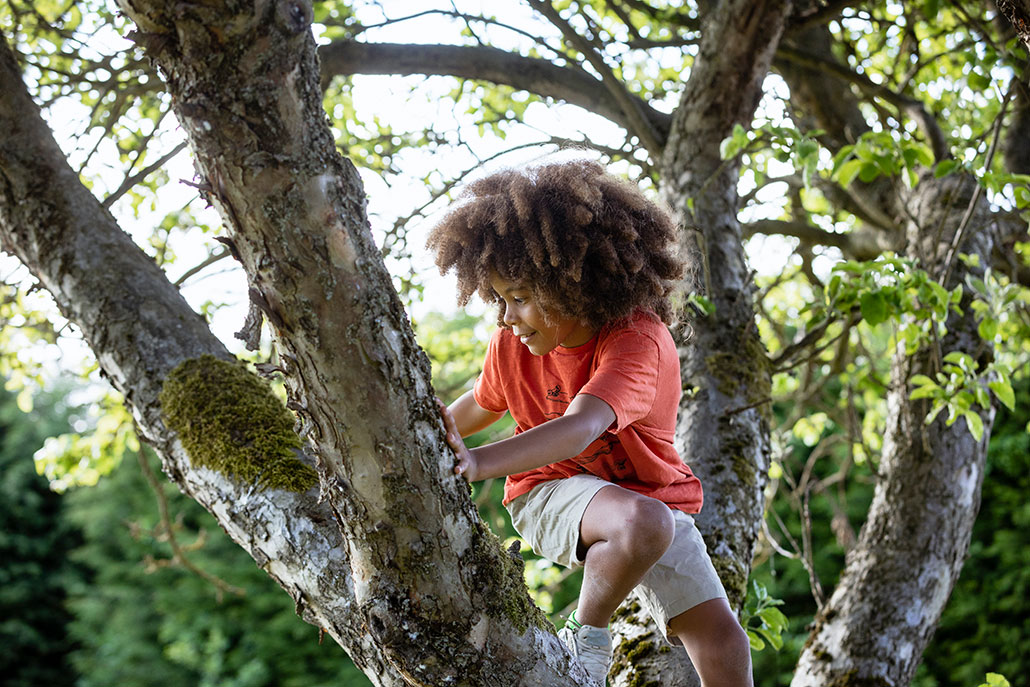 a Black kid with a fluffy afro is climbing a tree and smiling