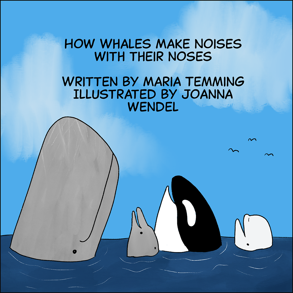 Image: A sperm whale, a dolphin, an orca and a beluga poke their heads out of the sea to smile up at a blue sky while birds fly overhead. Text: How whales make noises with their noses. Written by Maria Temming, Illustrated by JoAnna Wendel.