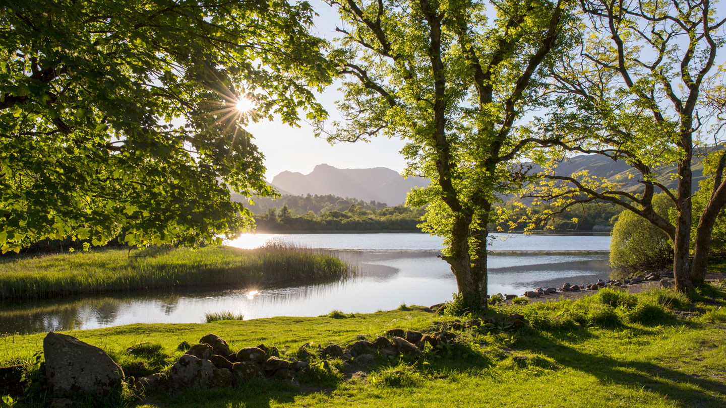 A verdant landscape, leafy green trees and grassy areas bound a body of water. A mountain can be seen in the distance.