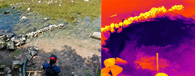 Two images side by side. The photo on the left shows researchers pumping cold water the Wrights River for fish. The thermal image on the right shows cooler water appears darker purple while warmer water and sun-baked rocks are orange and yellow.