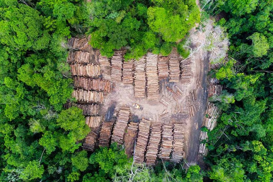 An aerial view of a very large clearing in a leafy green forest. The clearing is full of stacks of logs and felled trees.