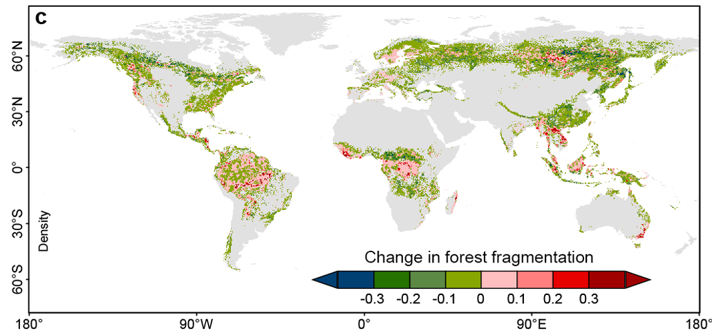 a map showing where and how much forest fragmentation has impacted areas across the world